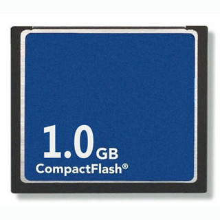 1G 1GB CompactFlash Standard CF Memory Card Generic OEM W/Cases Free Shipping ME