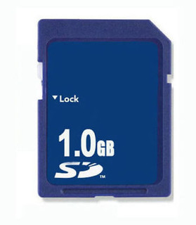 SD 1GB Memory Card Standard Secure Digital OEM New W/Cases
