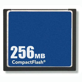 Compact Flash 256MB Standard CF Memory Card OEM New W/Case Free Shipping
