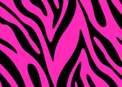 Zebra Print (Pink) Pattern