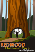 National Park Redwood, California Travel Poster