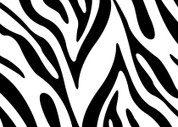 Zebra Print Pattern 