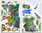 Jungle - Decal Sheets