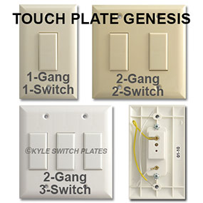 Touch Plate Genesis Information