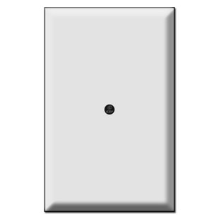Special Use Oversized 1 Blank Switch Plate Cover - Middle ...