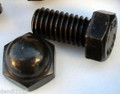 (12) pcs Hex acorn Cap Nut and Bolts 3/8" x 3/4" Black for wrought Iron fence