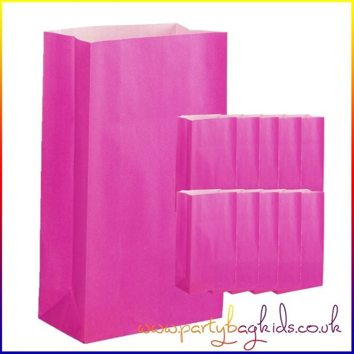 Hot Pink Paper Party Bags Pk of 10
