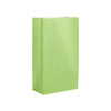 Lime Green Paper Party Bag