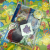 Dinosaur Party Bag Contents