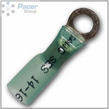 Heat Shrink Ring Terminal 16-14AWG / #6