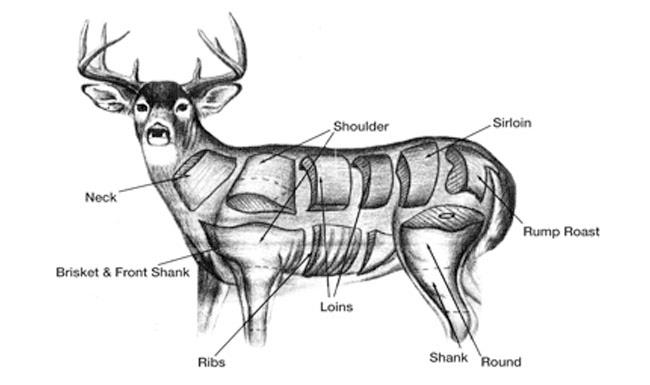 deer-processing-deer-butchering-hermann-wurst-haus