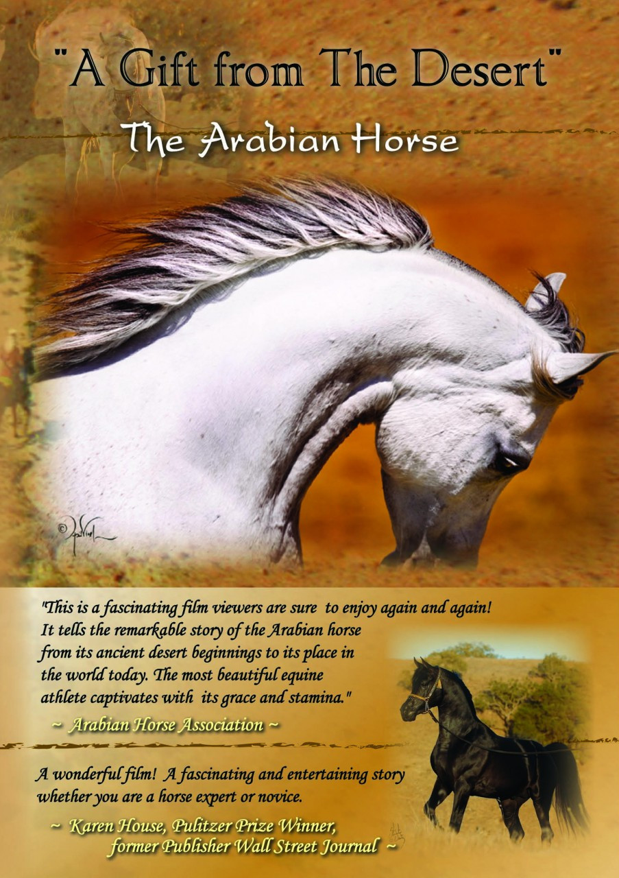 A Gift from The Desert: The Arabian Horse