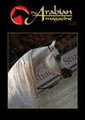 The Arabian Magazine Issue 17 - November 2006