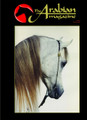 The Arabian Magazine Issue 19 - February 2007