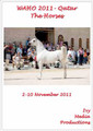WAHO Qatar 2011 DVD - the Horses