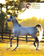 The front cover of The Arabian Breeders' Magazine Volume II Issue III  - Exxalt
