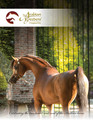 The Arabian Breeders' Magazine - Volume V Issue III