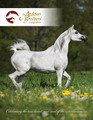 The Arabian Breeders' Magazine - Volume VI Issue III