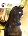 The Arabian Breeders' Magazine - Volume VI Issue I