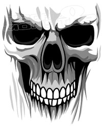 Multitone Death Skull Decal Sticker