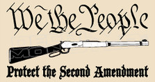 USA We The People Protect the Second Amendment Decal Sticker