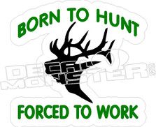 Born To Hunt Elk