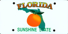 Florida State Auto Plate
