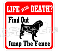  Life After Death Find Out Decal Sticker