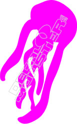 Jellyfish Decal Sticker