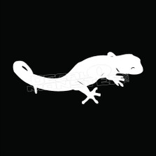  Gecko Lizard Decal Sticker
