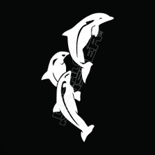 Dolphins 53 Decal Sticker