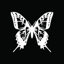 Butterfly Tribal 51 Decal Sticker