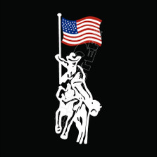 Cowboy Horse USA Flag Decal Sticker