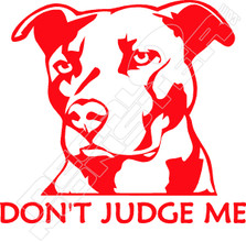 Pit Bull Dont Judge Me