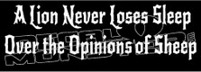 Lion Never Loses Sleep Inspirational  Decal Sticker