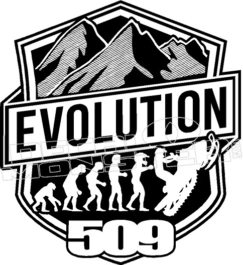 3 509 SNOWMOBILE LOGO NEW 3 LARGE DECALS THREE DECAL / STICKER LOT 