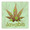 Recreational Marijuana,New York State,Coffee,Java,Caffiene,