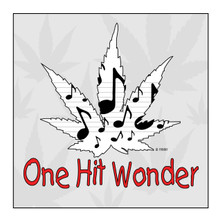 Recreational Marijuana,New York State,Music,One Hit Wonder,