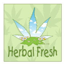 Recreational Marijuana,New York State,Herb,Herbal,Herbal Fresh