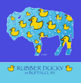 Rubber Ducky In BUFFALO