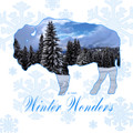 Winter Wonders Trivet
