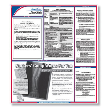 ComplyRight STATE Labor Law Poster, Laminated size: 24-1/4" X 27".  (Item # STATELL)