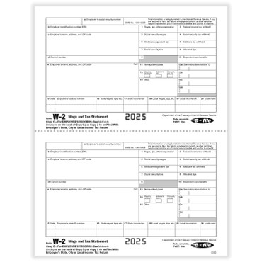 W-2 Employee Copy 2 and/or Copy C, 100/Pkg.. Item # 5203  2025