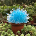 Magic Cactus Crystal - Blue