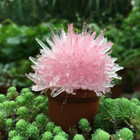 Magic Cactus Crystal - Pink