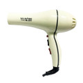 Professional hair dryer 8860 2300W 