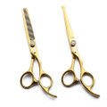 CNSS01-6CR-G 2pc cutting and thinning scissors set