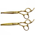 CNSS01-6CR-G 2pc cutting and thinning scissors set