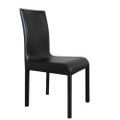 DC01-001 fixed height dining chair