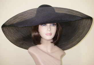 Large HH and Pagalina Arcadia